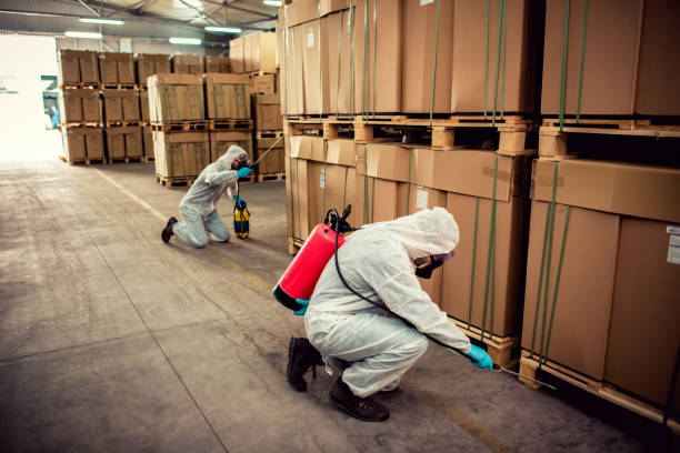 Best Best Pest Control Companies  in Solomon, KS