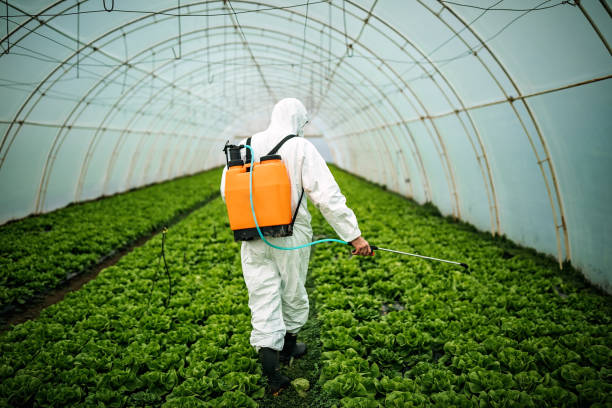 Best Emergency Pest Control  in Solomon, KS