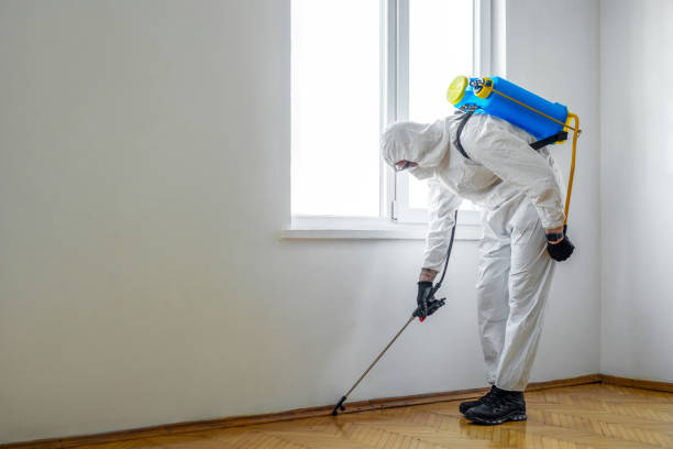 Best Pest Removal Services  in Solomon, KS