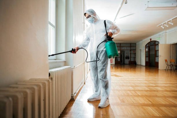 Best Affordable Pest Control Services  in Solomon, KS