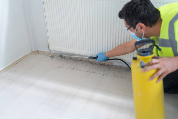 Best Pest Inspection Near Me  in Solomon, KS